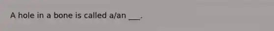 A hole in a bone is called a/an ___.