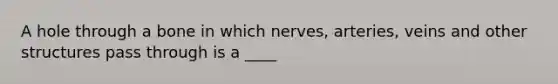 A hole through a bone in which nerves, arteries, veins and other structures pass through is a ____