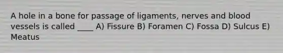 A hole in a bone for passage of ligaments, nerves and blood vessels is called ____ A) Fissure B) Foramen C) Fossa D) Sulcus E) Meatus