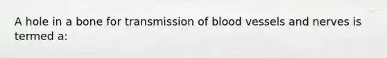 A hole in a bone for transmission of blood vessels and nerves is termed a: