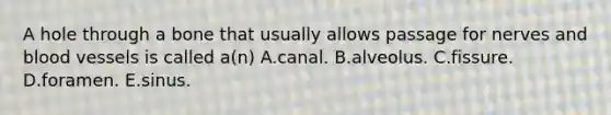 A hole through a bone that usually allows passage for nerves and blood vessels is called a(n) A.canal. B.alveolus. C.fissure. D.foramen. E.sinus.