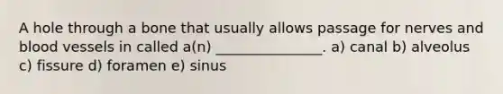 A hole through a bone that usually allows passage for nerves and blood vessels in called a(n) _______________. a) canal b) alveolus c) fissure d) foramen e) sinus