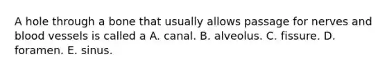 A hole through a bone that usually allows passage for nerves and <a href='https://www.questionai.com/knowledge/kZJ3mNKN7P-blood-vessels' class='anchor-knowledge'>blood vessels</a> is called a A. canal. B. alveolus. C. fissure. D. foramen. E. sinus.