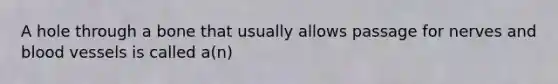 A hole through a bone that usually allows passage for nerves and <a href='https://www.questionai.com/knowledge/kZJ3mNKN7P-blood-vessels' class='anchor-knowledge'>blood vessels</a> is called a(n)