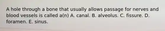 A hole through a bone that usually allows passage for nerves and <a href='https://www.questionai.com/knowledge/kZJ3mNKN7P-blood-vessels' class='anchor-knowledge'>blood vessels</a> is called a(n) A. canal. B. alveolus. C. fissure. D. foramen. E. sinus.