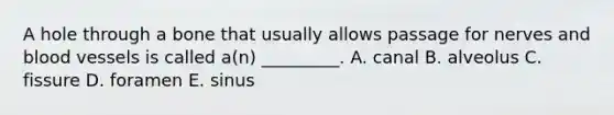 A hole through a bone that usually allows passage for nerves and blood vessels is called a(n) _________. A. canal B. alveolus C. fissure D. foramen E. sinus