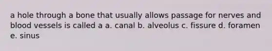 a hole through a bone that usually allows passage for nerves and blood vessels is called a a. canal b. alveolus c. fissure d. foramen e. sinus