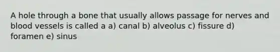 A hole through a bone that usually allows passage for nerves and <a href='https://www.questionai.com/knowledge/kZJ3mNKN7P-blood-vessels' class='anchor-knowledge'>blood vessels</a> is called a a) canal b) alveolus c) fissure d) foramen e) sinus