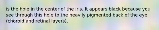 is the hole in the center of the iris. It appears black because you see through this hole to the heavily pigmented back of the eye (choroid and retinal layers).