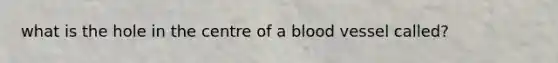 what is the hole in the centre of a blood vessel called?