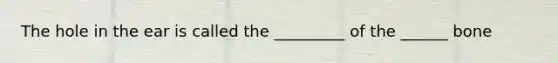 The hole in the ear is called the _________ of the ______ bone