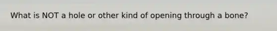 What is NOT a hole or other kind of opening through a bone?