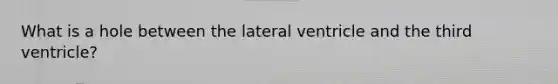 What is a hole between the lateral ventricle and the third ventricle?