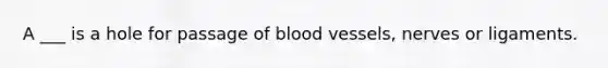 A ___ is a hole for passage of blood vessels, nerves or ligaments.