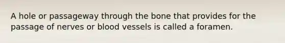 A hole or passageway through the bone that provides for the passage of nerves or blood vessels is called a foramen.