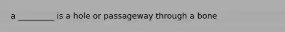 a _________ is a hole or passageway through a bone