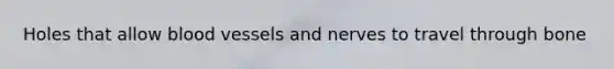 Holes that allow blood vessels and nerves to travel through bone