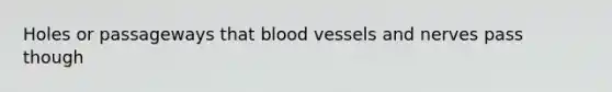 Holes or passageways that blood vessels and nerves pass though