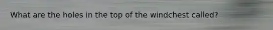 What are the holes in the top of the windchest called?