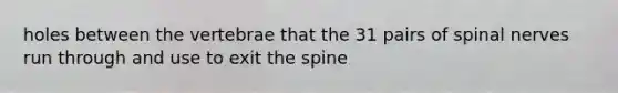 holes between the vertebrae that the 31 pairs of spinal nerves run through and use to exit the spine