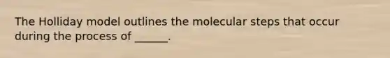 The Holliday model outlines the molecular steps that occur during the process of ______.