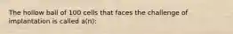 The hollow ball of 100 cells that faces the challenge of implantation is called a(n):