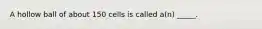 A hollow ball of about 150 cells is called a(n) _____.