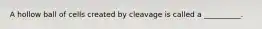 A hollow ball of cells created by cleavage is called a __________.