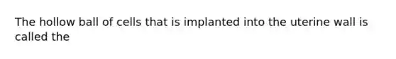 The hollow ball of cells that is implanted into the uterine wall is called the