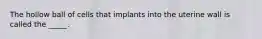 The hollow ball of cells that implants into the uterine wall is called the _____.