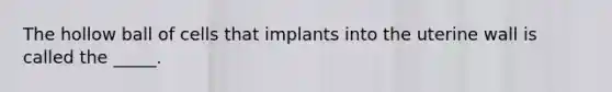 The hollow ball of cells that implants into the uterine wall is called the _____.