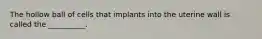 The hollow ball of cells that implants into the uterine wall is called the __________.