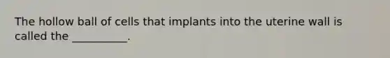 The hollow ball of cells that implants into the uterine wall is called the __________.