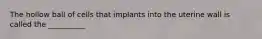 The hollow ball of cells that implants into the uterine wall is called the __________