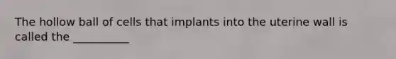 The hollow ball of cells that implants into the uterine wall is called the __________