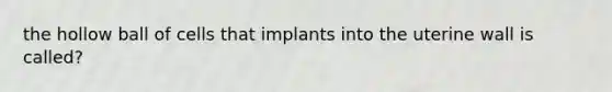 the hollow ball of cells that implants into the uterine wall is called?