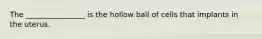 The ________________ is the hollow ball of cells that implants in the uterus.