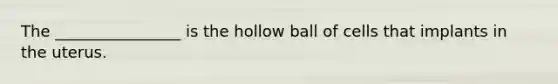 The ________________ is the hollow ball of cells that implants in the uterus.