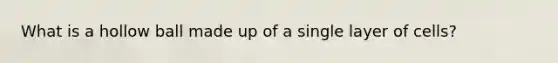 What is a hollow ball made up of a single layer of cells?