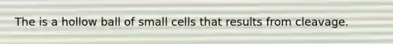 The is a hollow ball of small cells that results from cleavage.