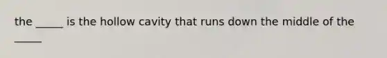 the _____ is the hollow cavity that runs down the middle of the _____