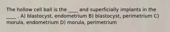 The hollow cell ball is the ____ and superficially implants in the ____ . A) blastocyst, endometrium B) blastocyst, perimetrium C) morula, endometrium D) morula, perimetrium