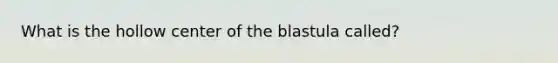 What is the hollow center of the blastula called?