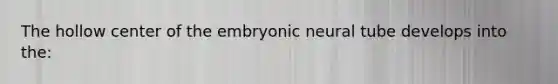 The hollow center of the embryonic neural tube develops into the: