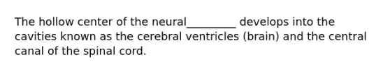 The hollow center of the neural_________ develops into the cavities known as the cerebral ventricles (brain) and the central canal of the spinal cord.