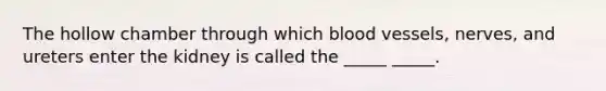 The hollow chamber through which blood vessels, nerves, and ureters enter the kidney is called the _____ _____.