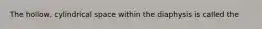 The hollow, cylindrical space within the diaphysis is called the