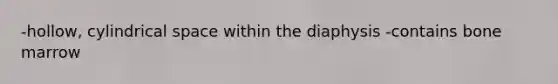 -hollow, cylindrical space within the diaphysis -contains bone marrow