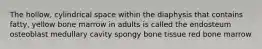 The hollow, cylindrical space within the diaphysis that contains fatty, yellow bone marrow in adults is called the endosteum osteoblast medullary cavity spongy bone tissue red bone marrow