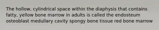 The hollow, cylindrical space within the diaphysis that contains fatty, yellow bone marrow in adults is called the endosteum osteoblast medullary cavity spongy bone tissue red bone marrow